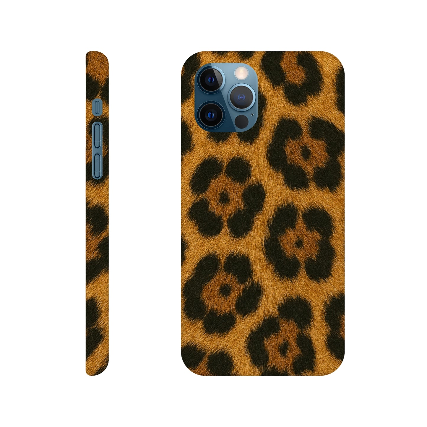 5c5934b1-25e6-4fe1-8e20-f2d15e8d362e