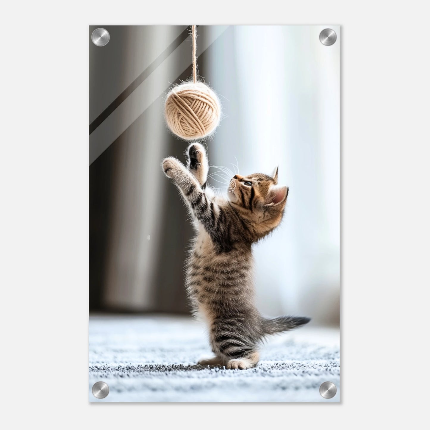 001dcf37-9443-4cb7-9c16-edc19f5f485c