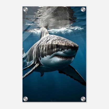 02289d33-a684-44a5-a1e3-62711e826fe6