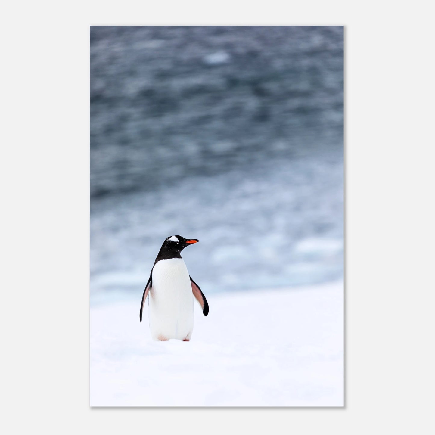 044826ff-cbe7-4f45-9d8c-9a60d4148699