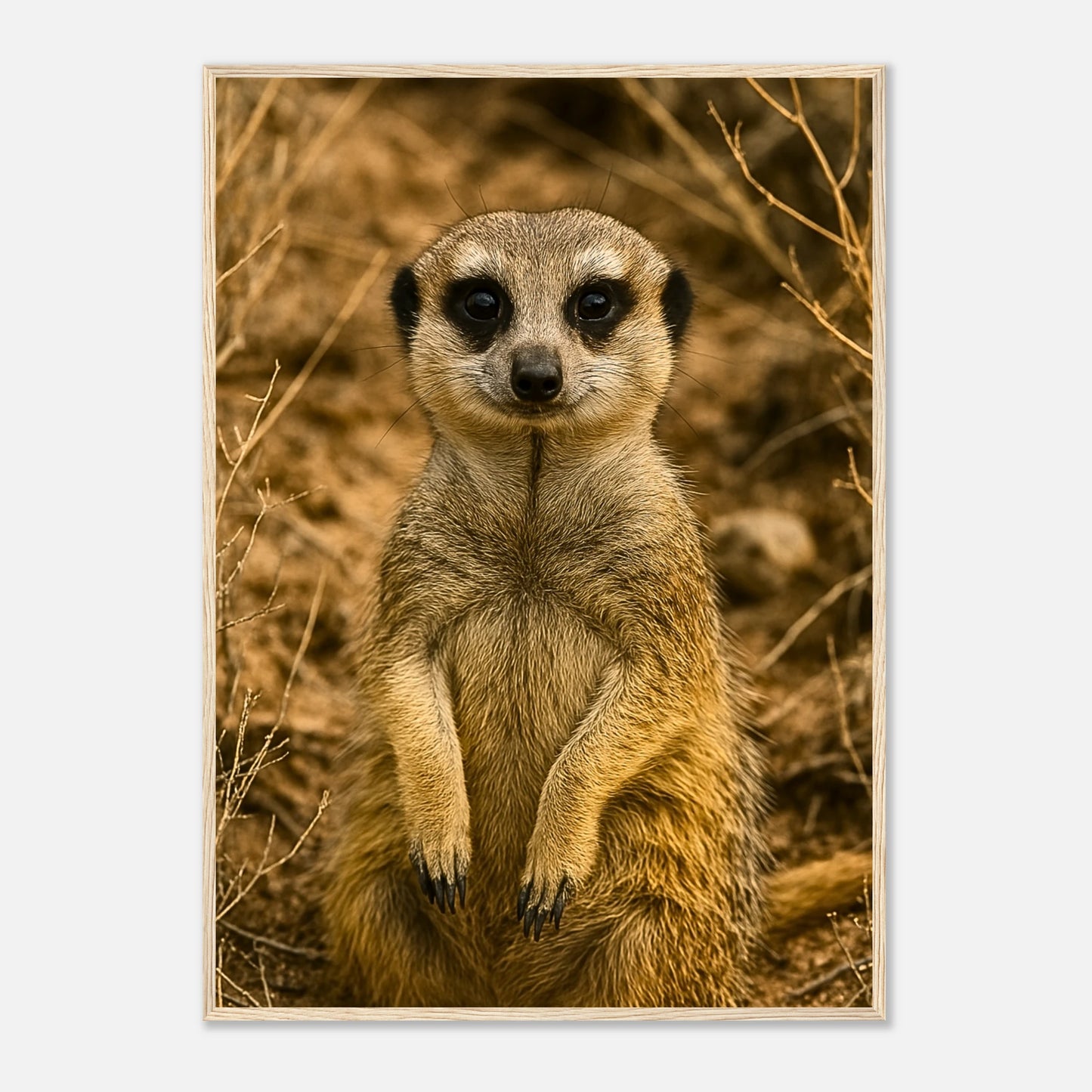 09028b65-6eeb-4556-bb36-e45a26337447