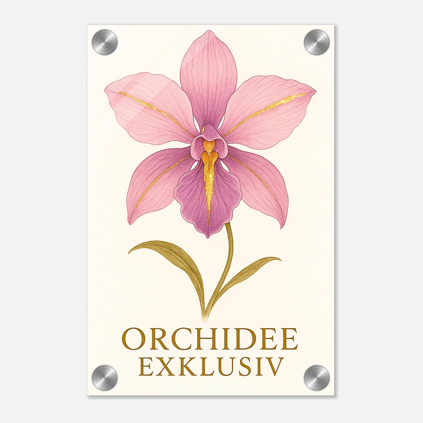 0b94aa1b-9a6a-4ce1-864a-d372c37fc5fa