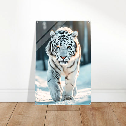 0c3d20ad-1247-47ca-b7de-3ea49160682d