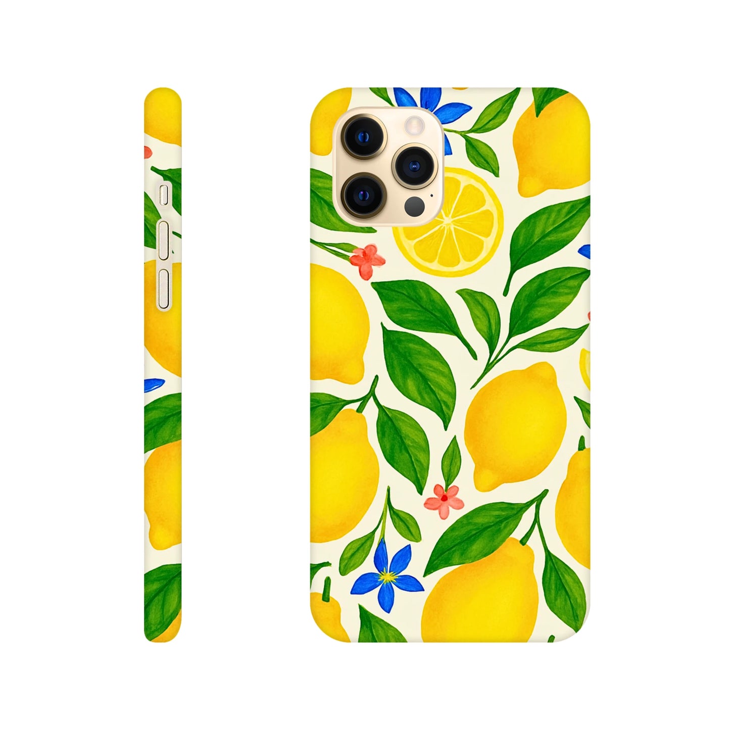 0d82685a-b779-4068-8a84-c544c0d90782