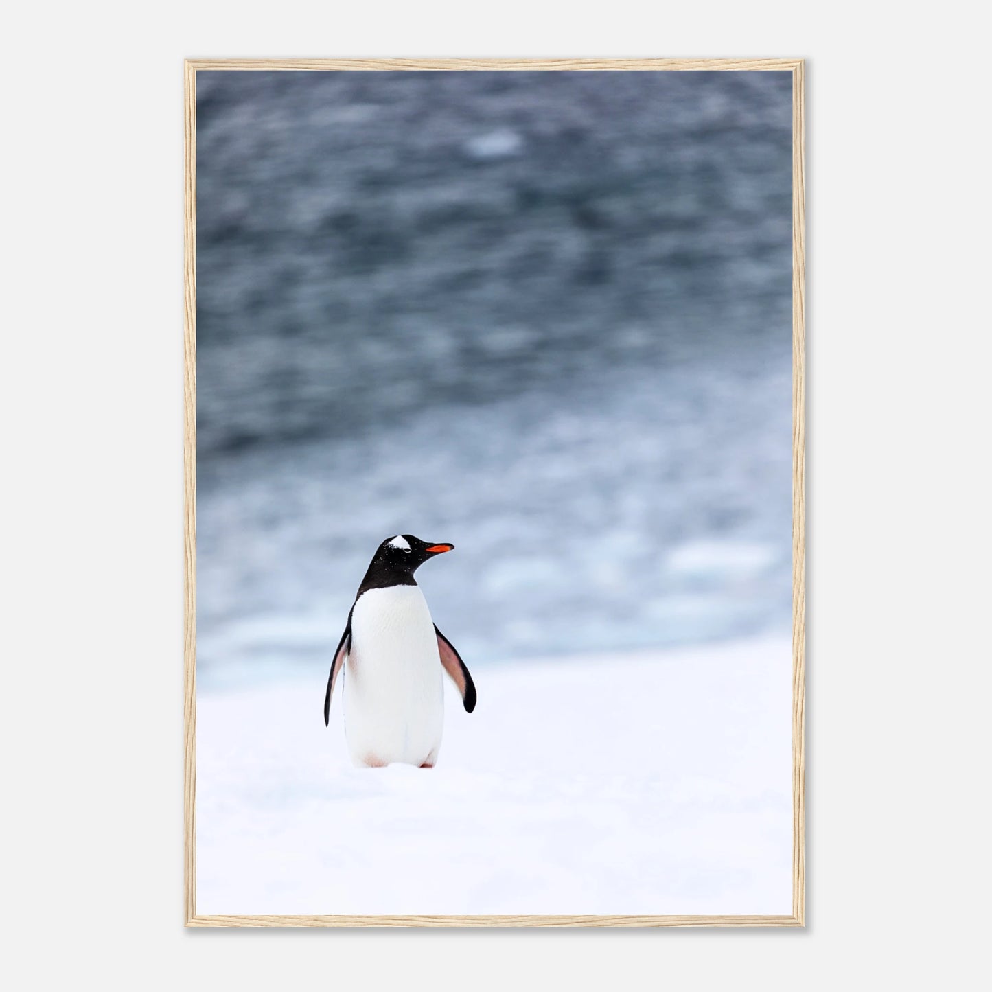 1bca63a5-8fe5-45b7-afda-4c69de3e1fe6