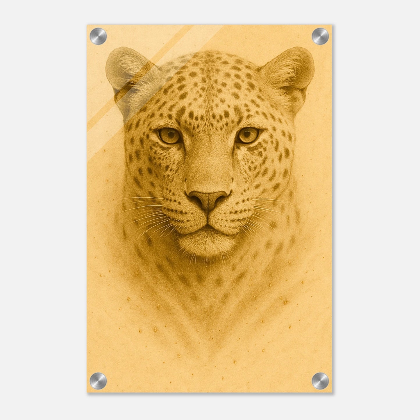 1bd84f8e-933f-4ae7-9ada-856979d406c3