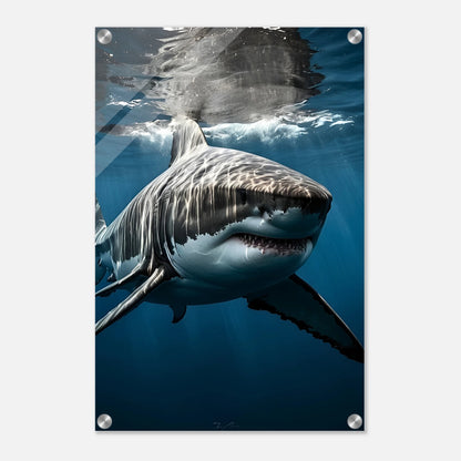 1c12c8c9-107f-4264-9e6e-c2958afabc8a