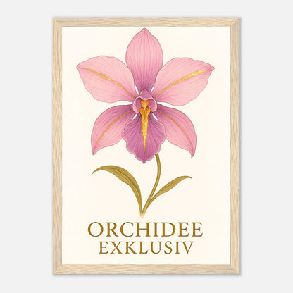 1c152b26-0df8-4ebb-961b-73a2da65782e