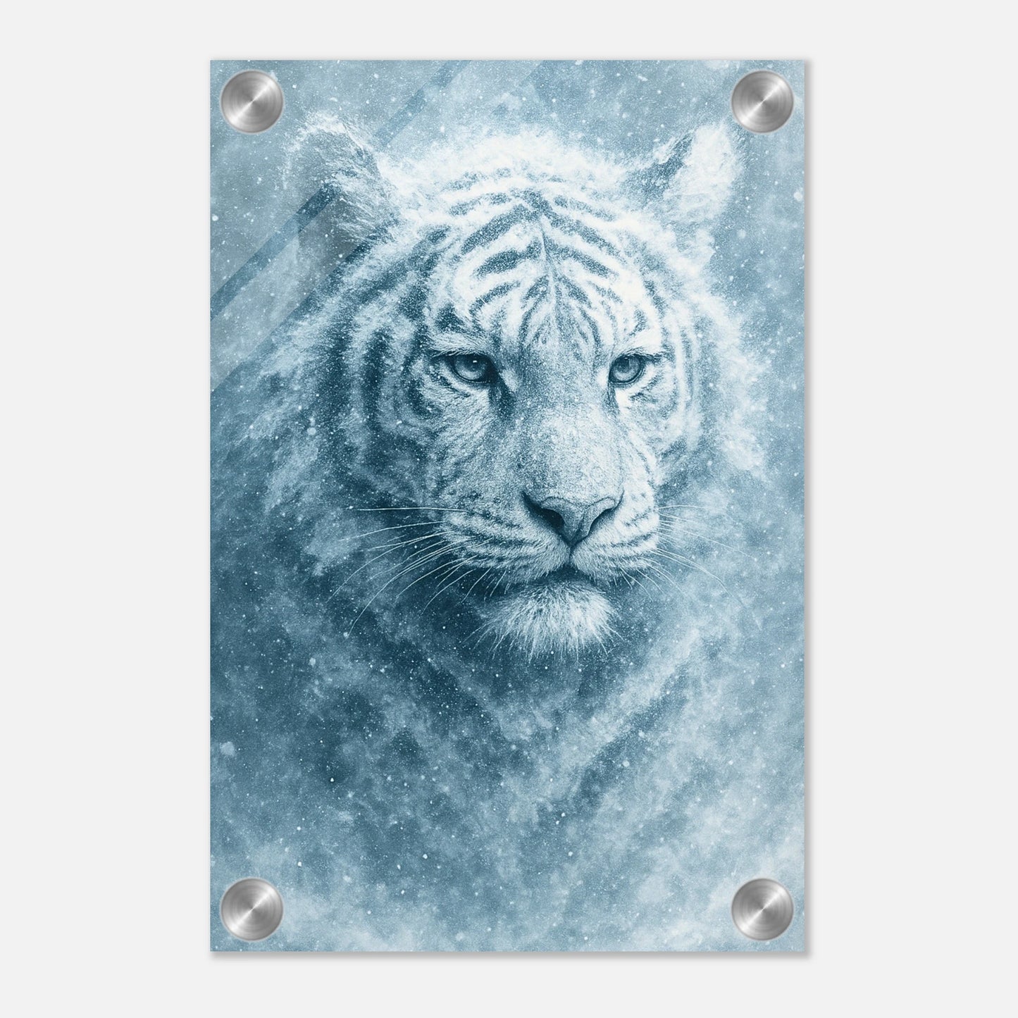 204b32f1-2a32-4f58-856b-e1bb509ab198