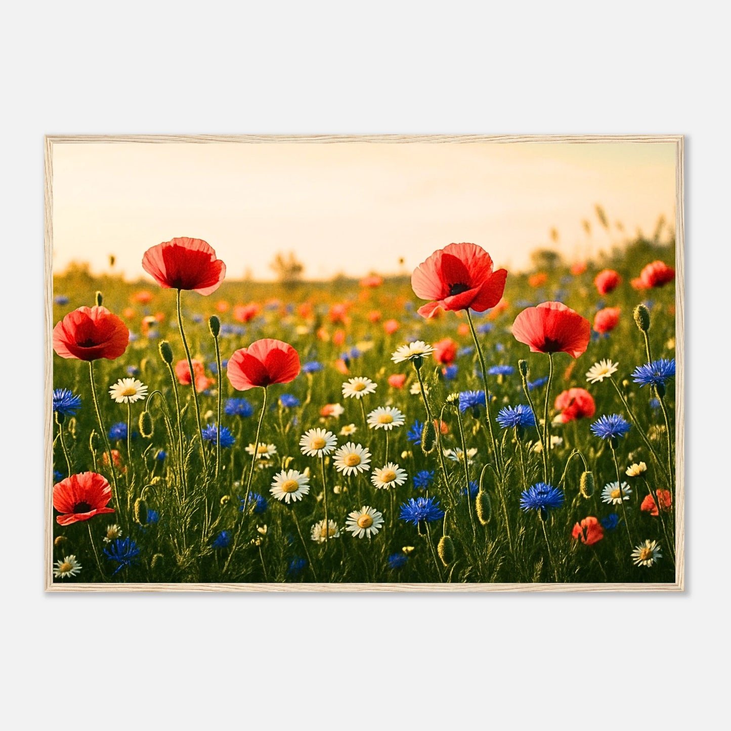 209ea931-69c5-4a01-bf53-5f150525c4ac