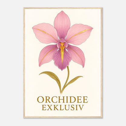 24c970de-7793-4293-be3a-f7ed695ac89c