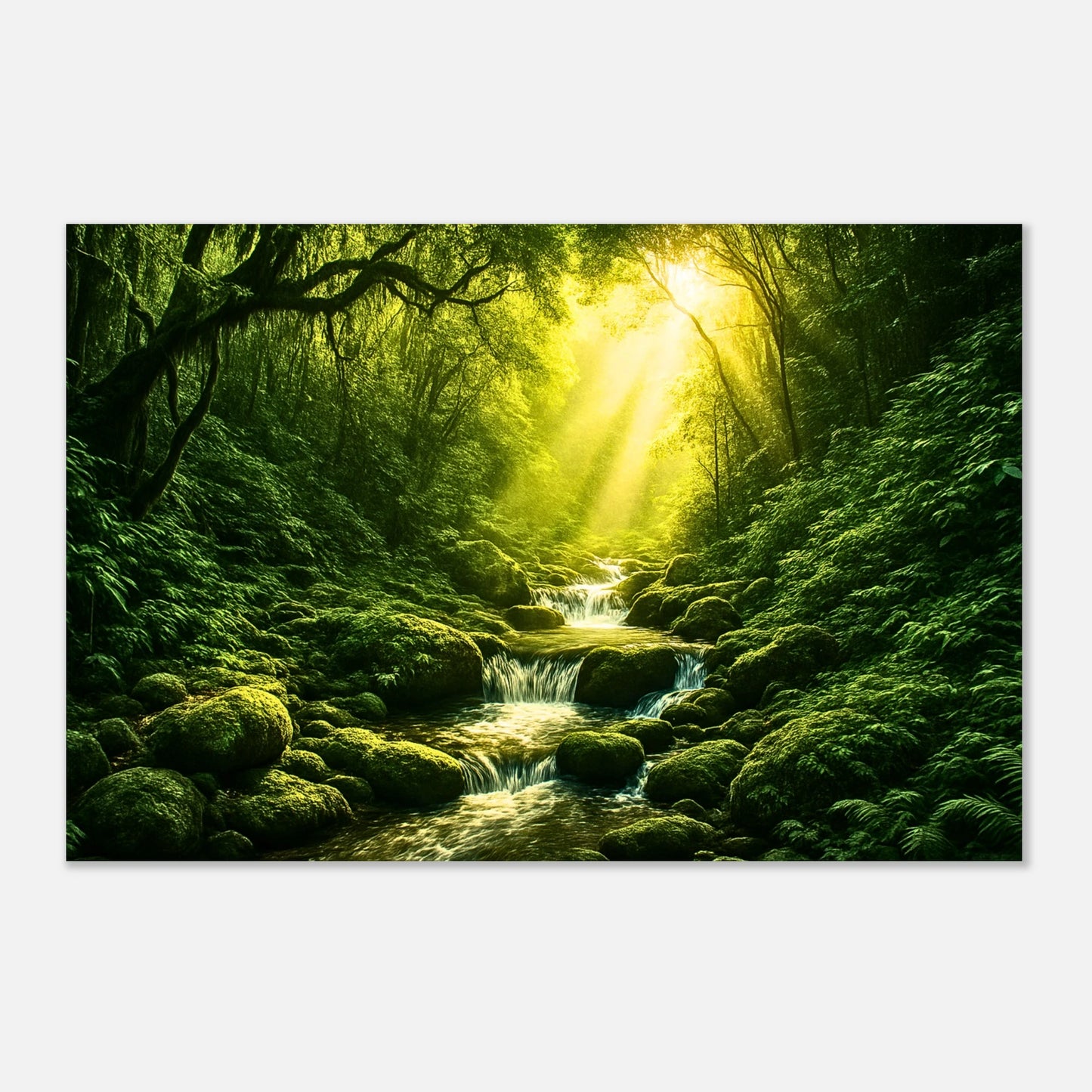 2c1fc613-659c-429c-a15a-83ad7eeeda6e