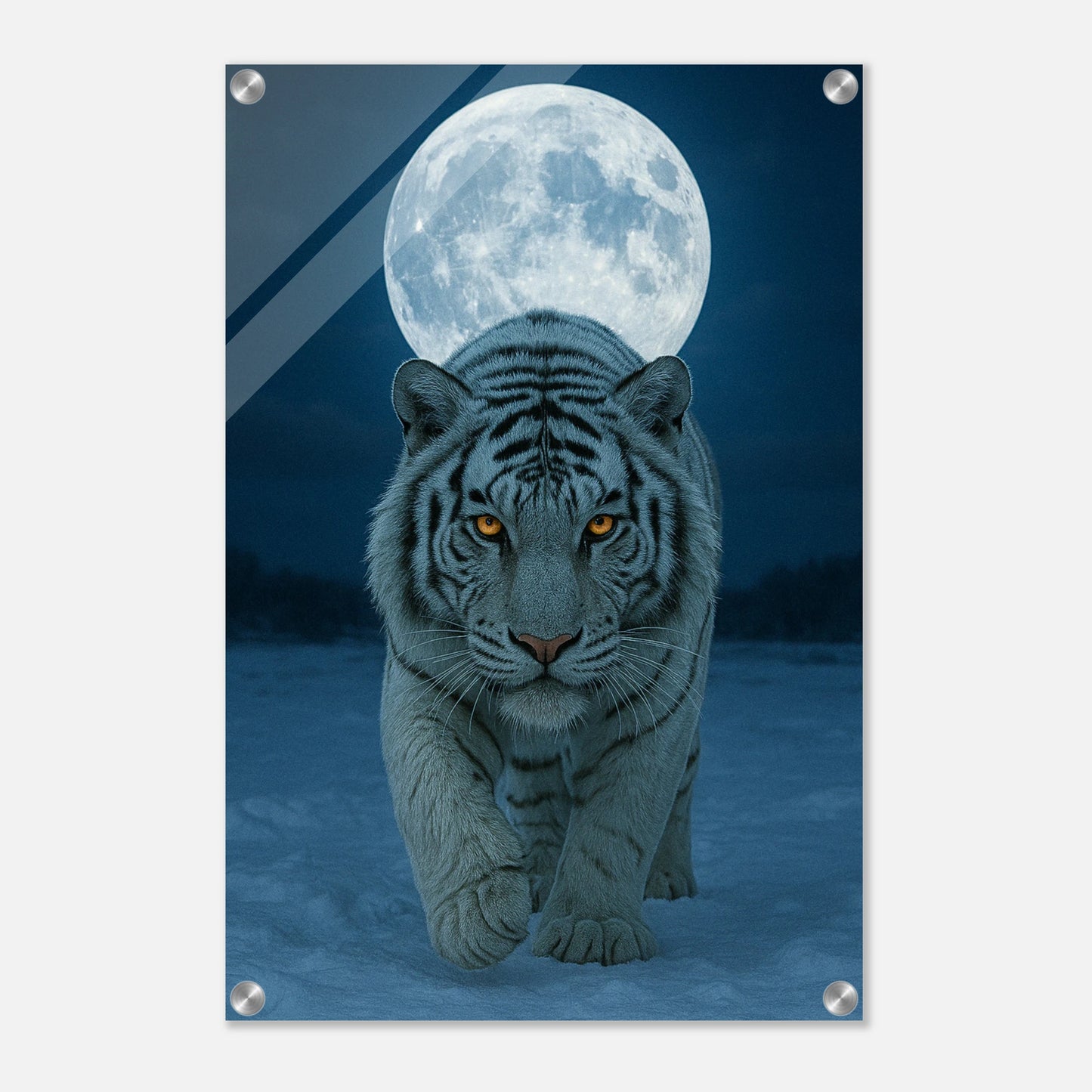 2d70171d-7b04-4901-a4b5-2453bb05ac8f