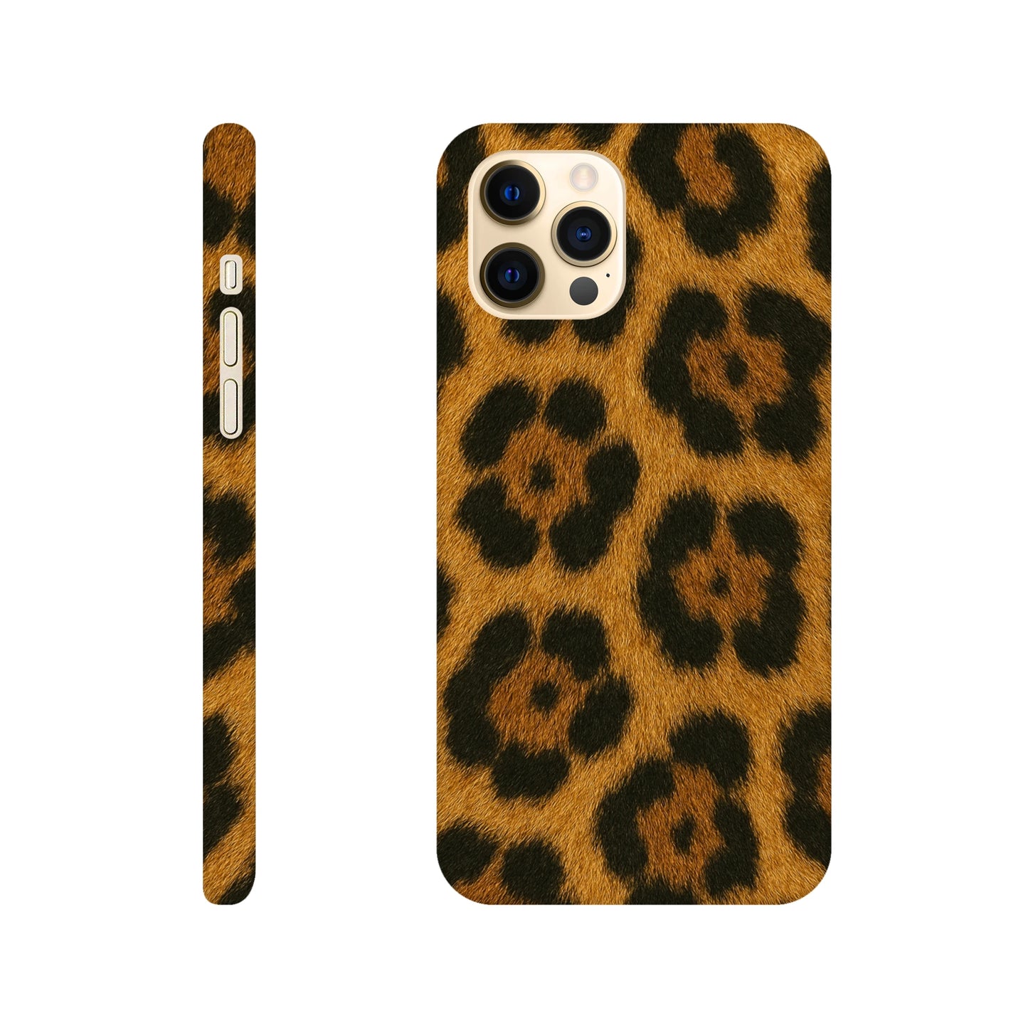 3e892bf7-979c-4bf1-8e5e-a136cca0a5fc