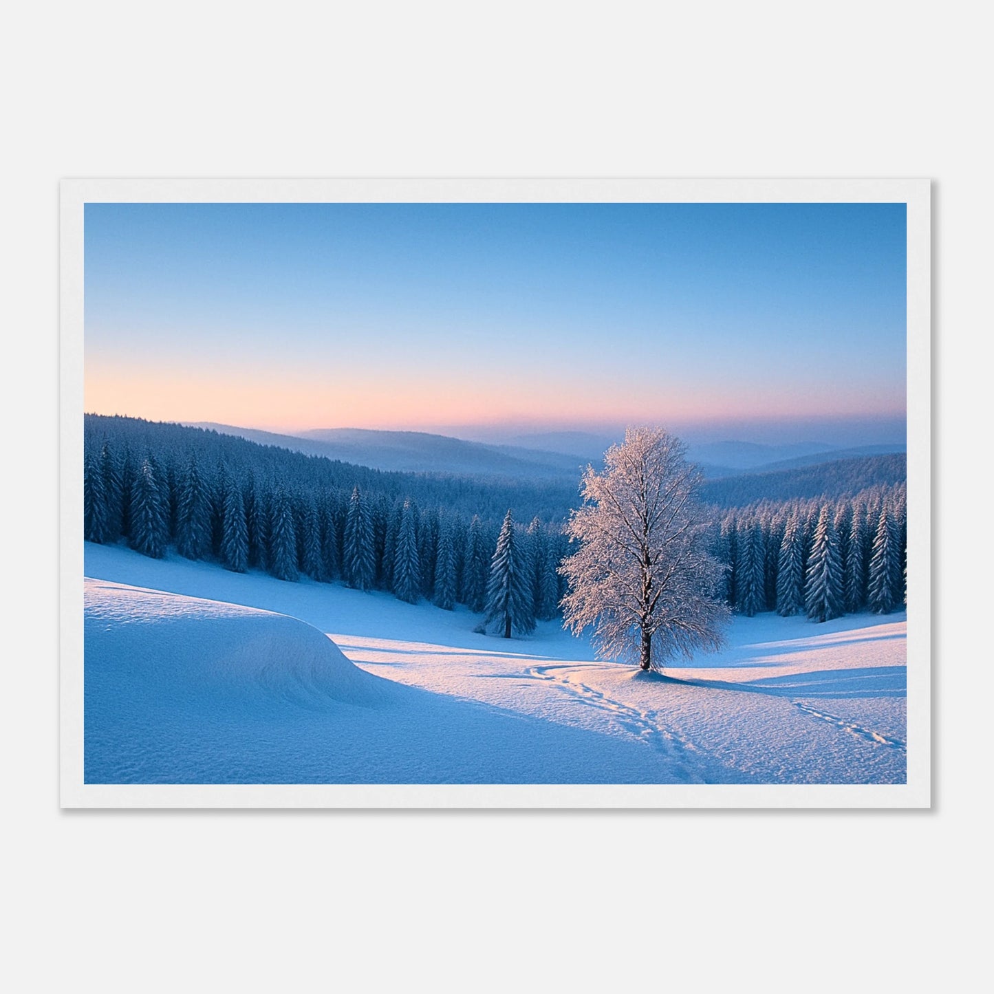 415bbea8-2f39-45a5-9ea7-b46003a3d9af