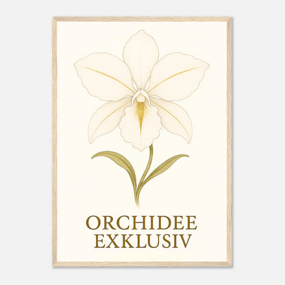 41746c9f-cec2-4605-bbab-485f91836d6e