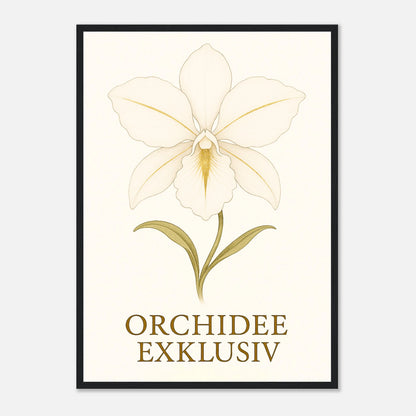 43ff05ed-dc53-4513-966c-023d134b8926