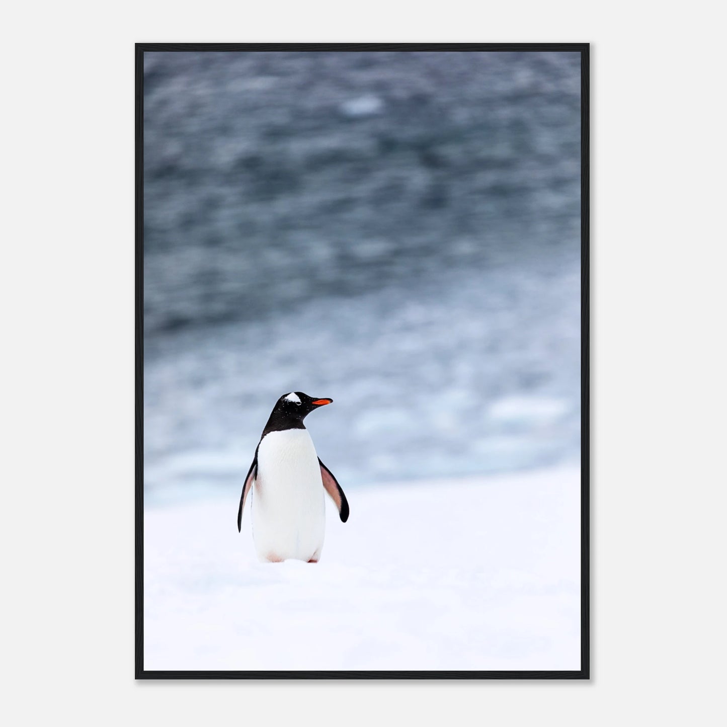 48f0e609-644e-4713-b474-92f1c18447e7