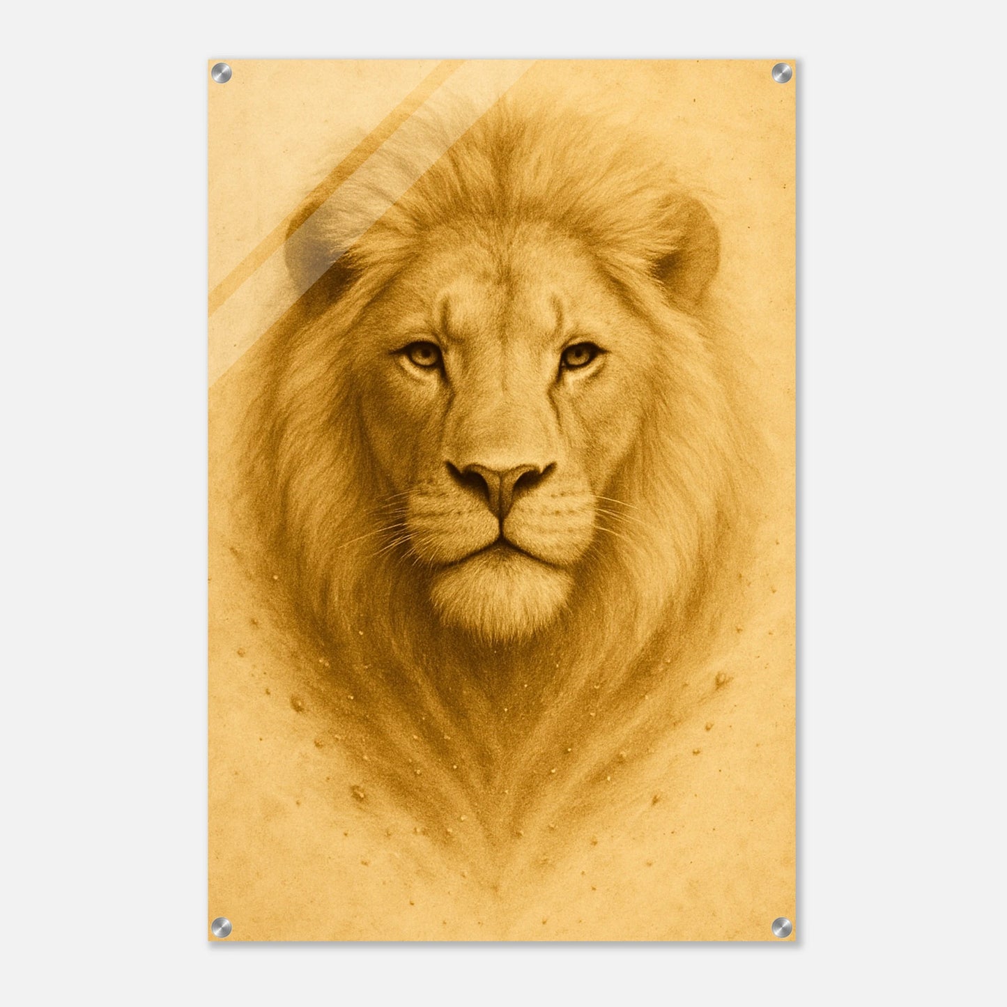 4cc4bc33-5ab9-4ad2-bd55-9a8897753a26