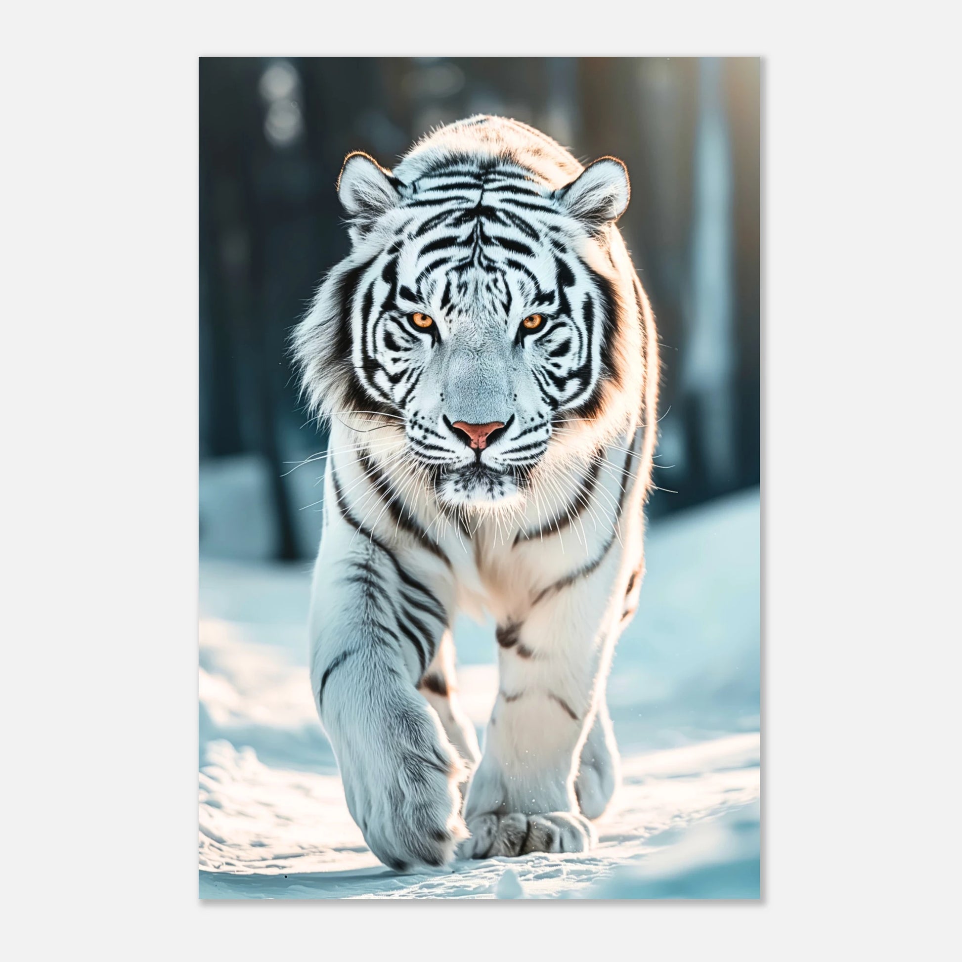 4de0c52a-f5a1-4dbb-af8d-563e9f2d9ac0