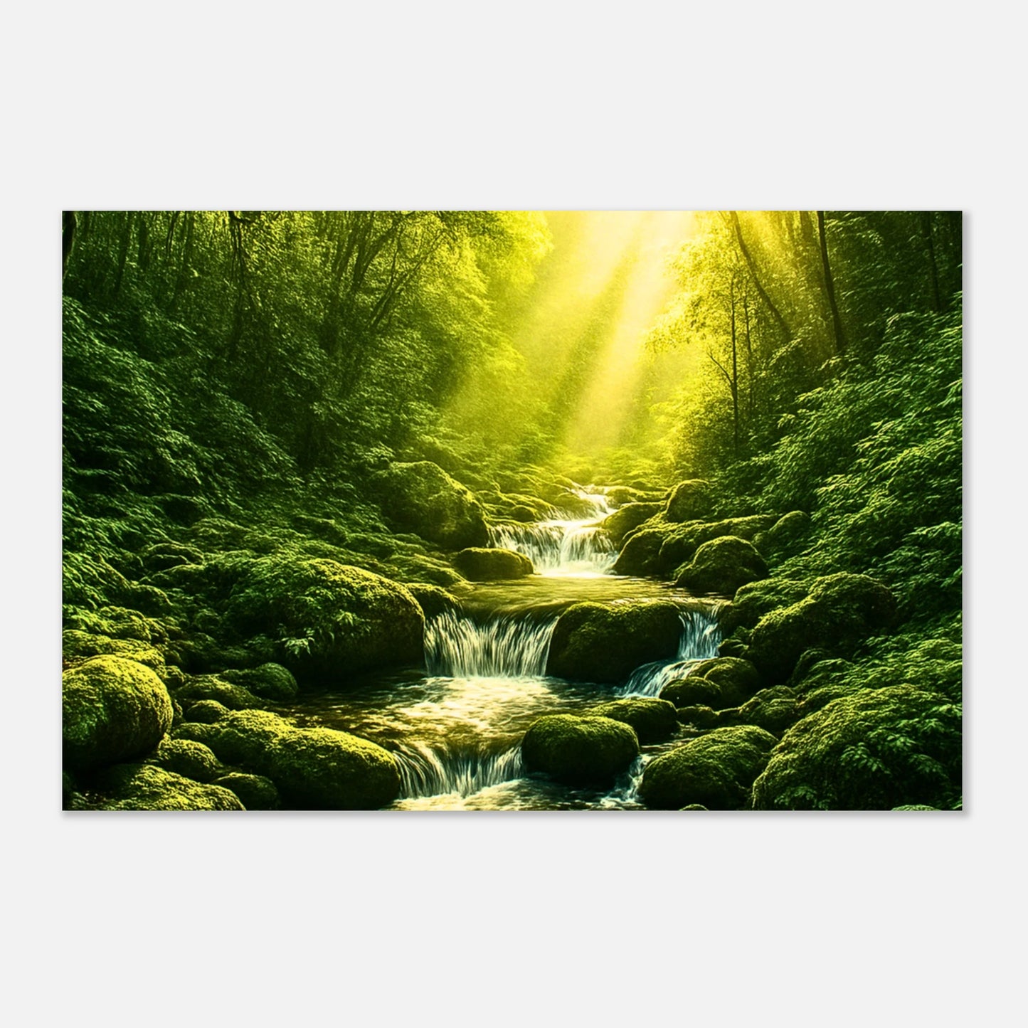 53c67a96-237c-4d22-ba73-715cb2abad99