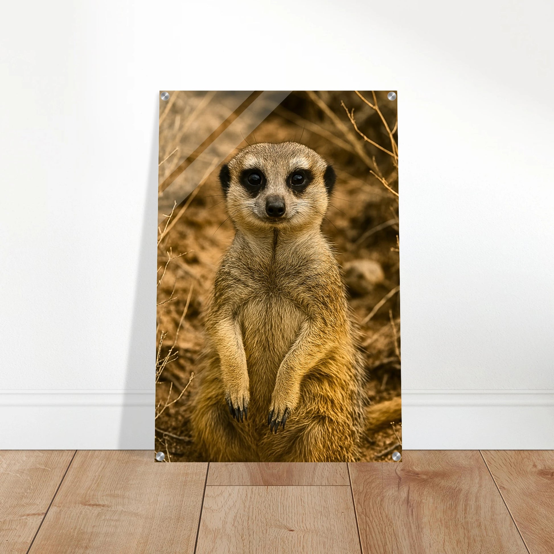 58074cea-9796-4897-a6f3-fdf1aaa9cc96