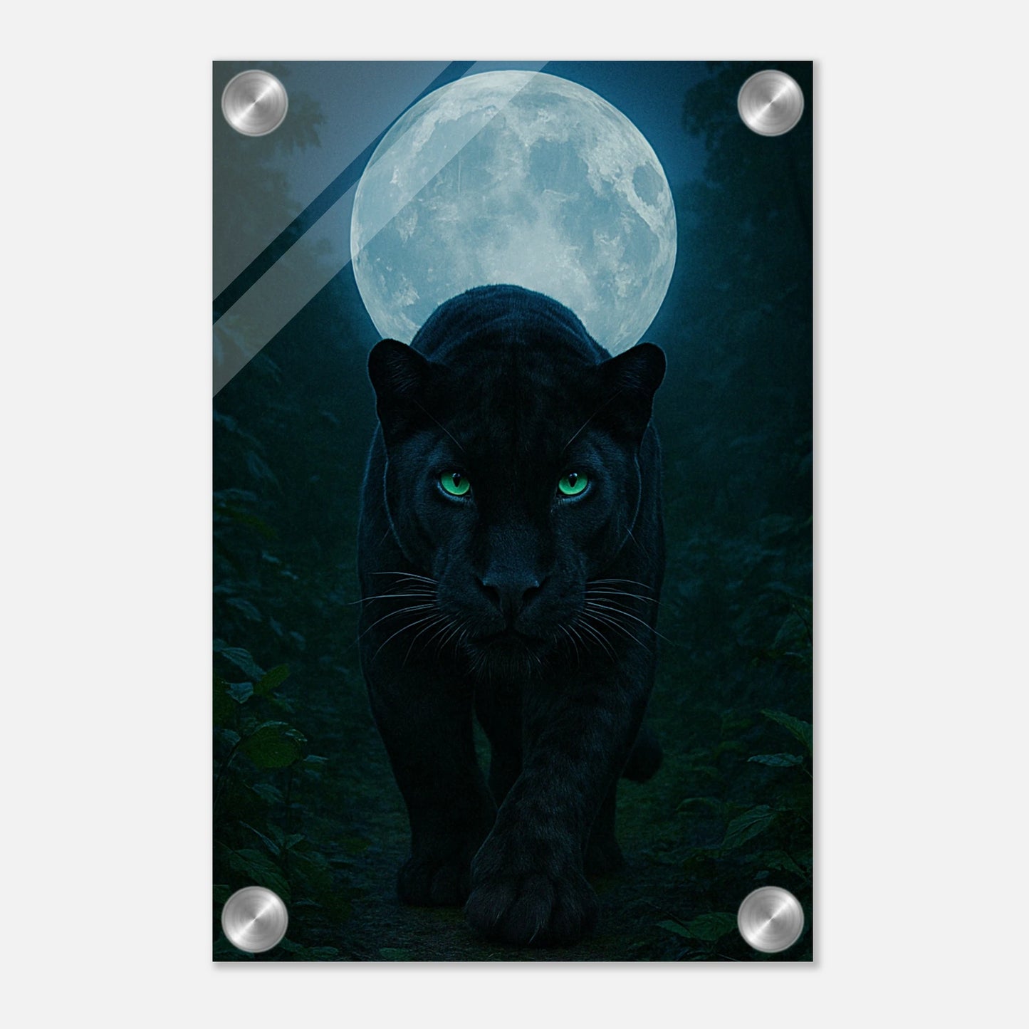 584154af-17d8-43bf-8480-b59154fd9beb