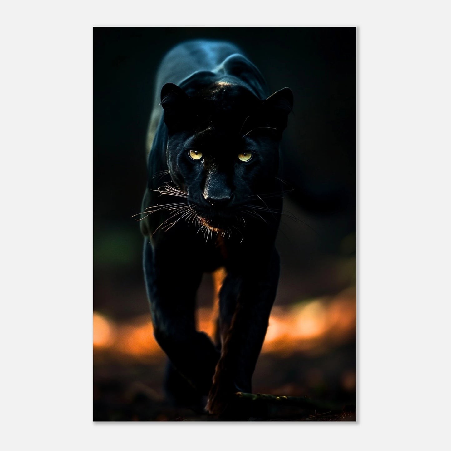 5bdf0e0c-4d52-45dc-b004-568e0344565f