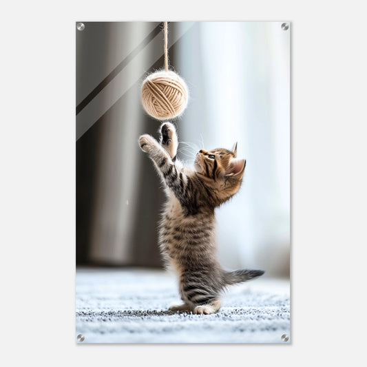 5ca1ab4a-2385-420c-9285-f26be8453ca7