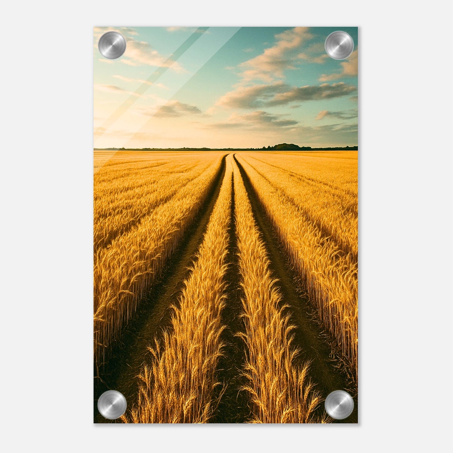 69a8c5c1-b851-4988-bace-fd2da12a660d