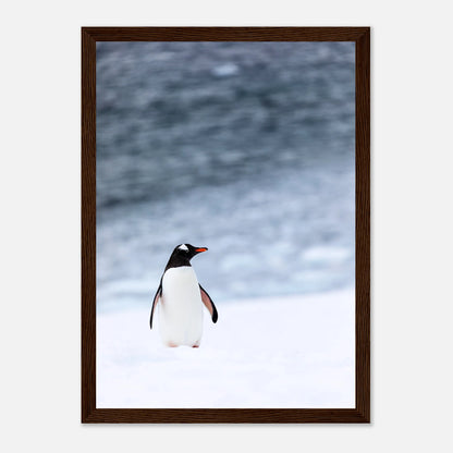 6bfe247d-def7-42b9-bc5b-82f57b112461