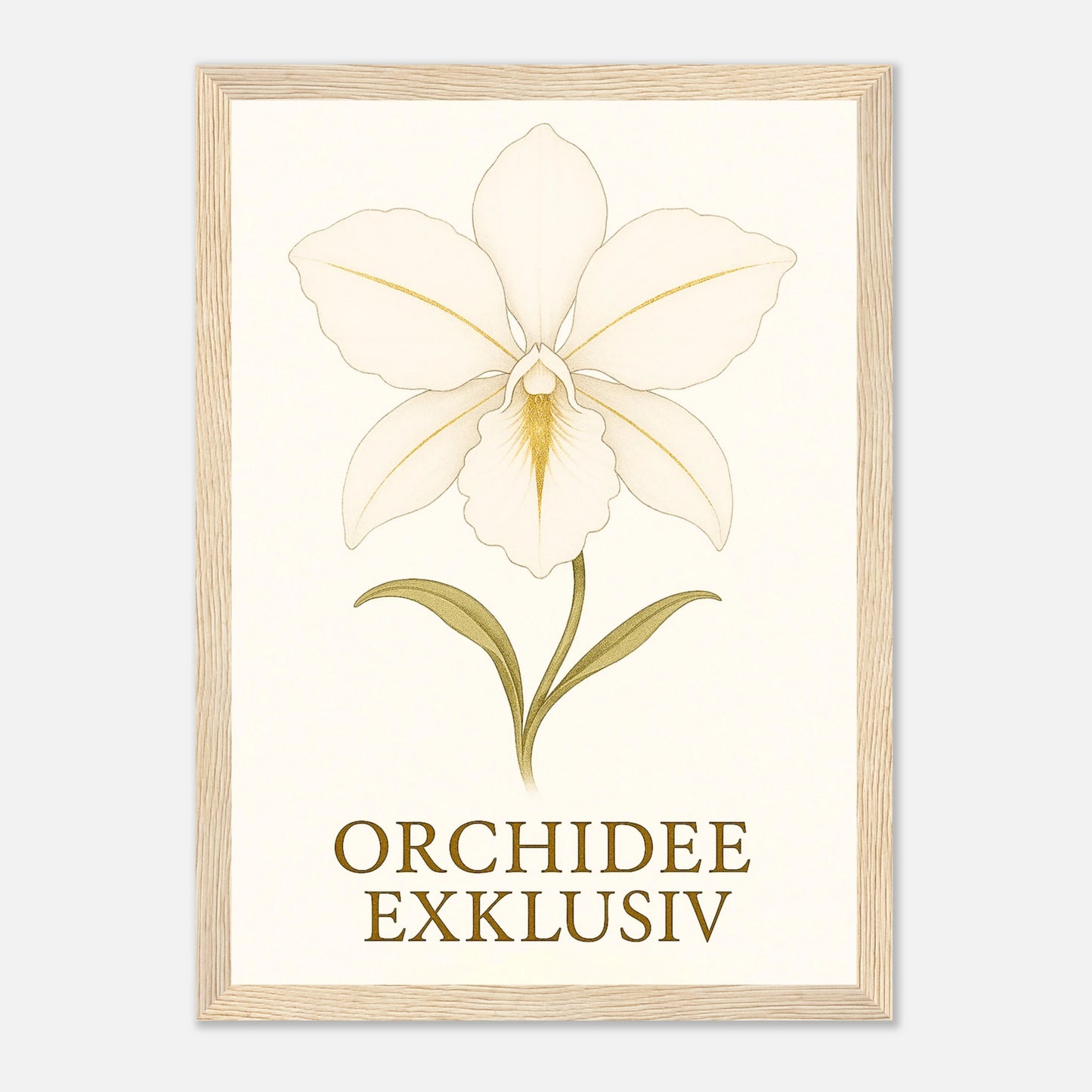 6c29529e-5a54-4564-a086-3a49add98696