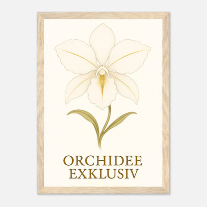 6c29529e-5a54-4564-a086-3a49add98696