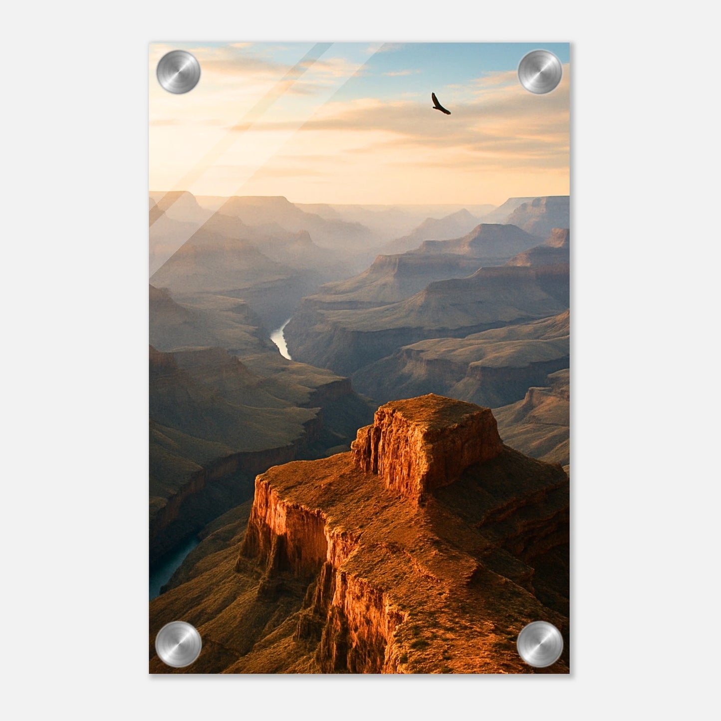 75248e3c-4d3b-46e0-9c5e-3da2daf027eb