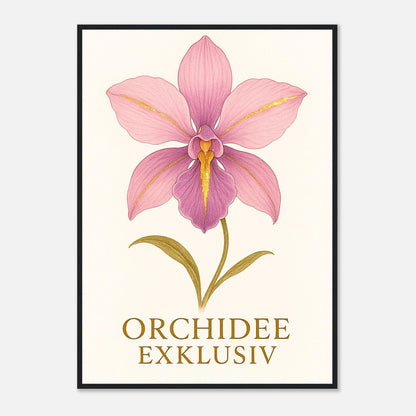 781b1d60-fbef-4b99-b7af-82dbabc26f05