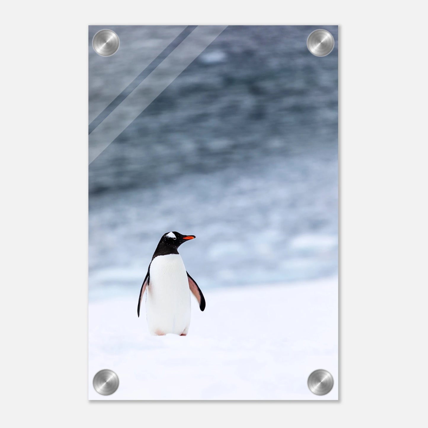 7ba1d4f3-226d-4a30-aa39-787e40008296