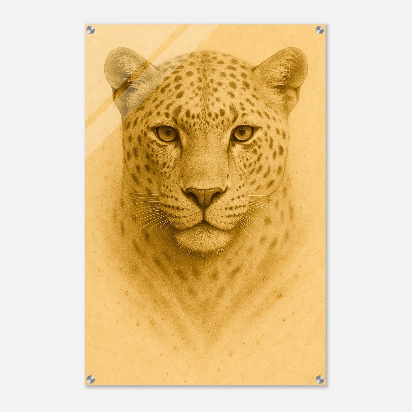 7ee4f2d0-4b4d-4f4d-b698-8439324dcacf