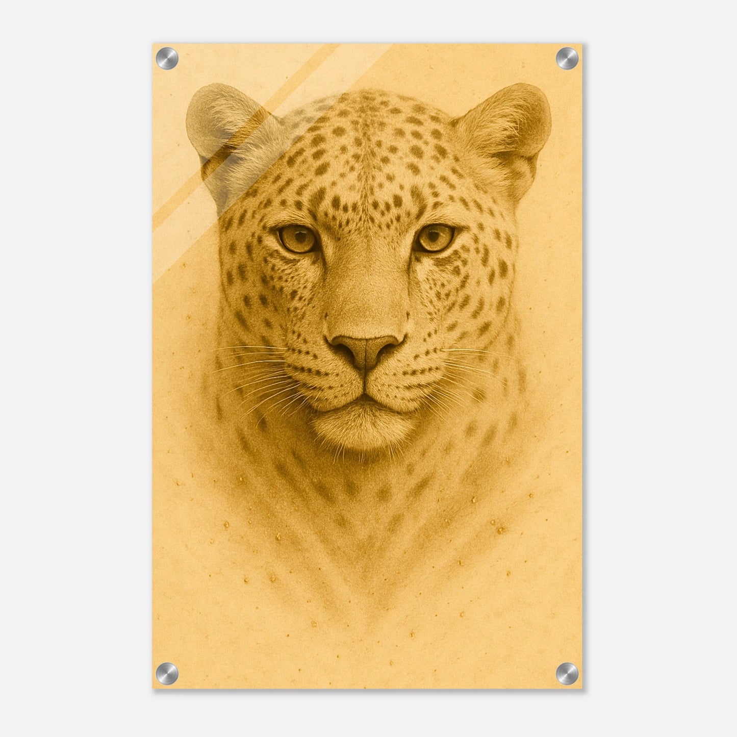 81d4a2d0-288c-447d-b932-fff99bff10fb