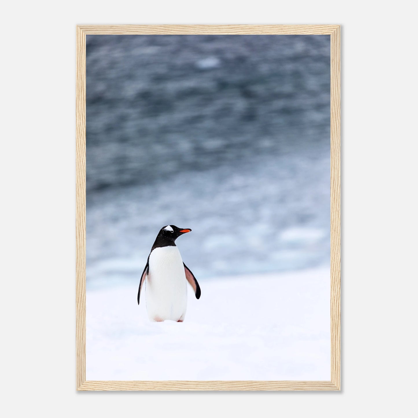 864a6d70-bd1f-4436-8068-cbc84ae25a0d