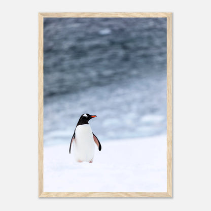 864a6d70-bd1f-4436-8068-cbc84ae25a0d