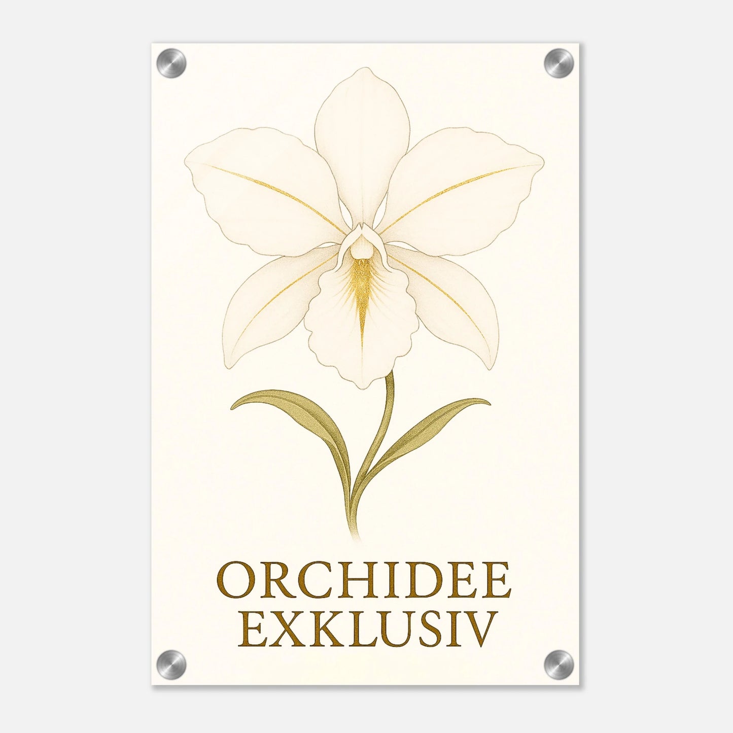 8c5e5ba0-75bf-4657-9e7d-282083613e9d