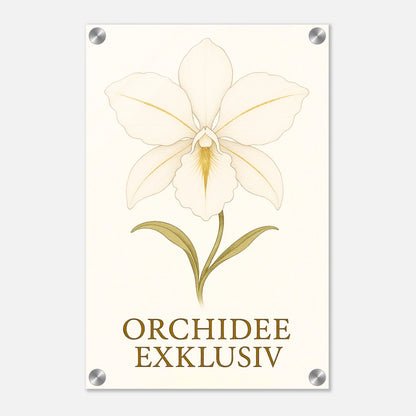 8c5e5ba0-75bf-4657-9e7d-282083613e9d