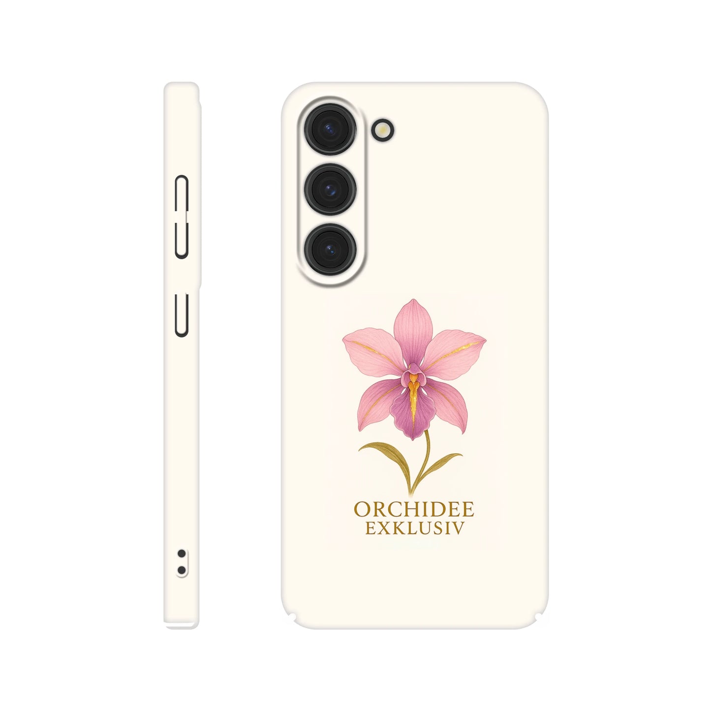 96926313-6b3f-46b6-92c1-8bf05b911969