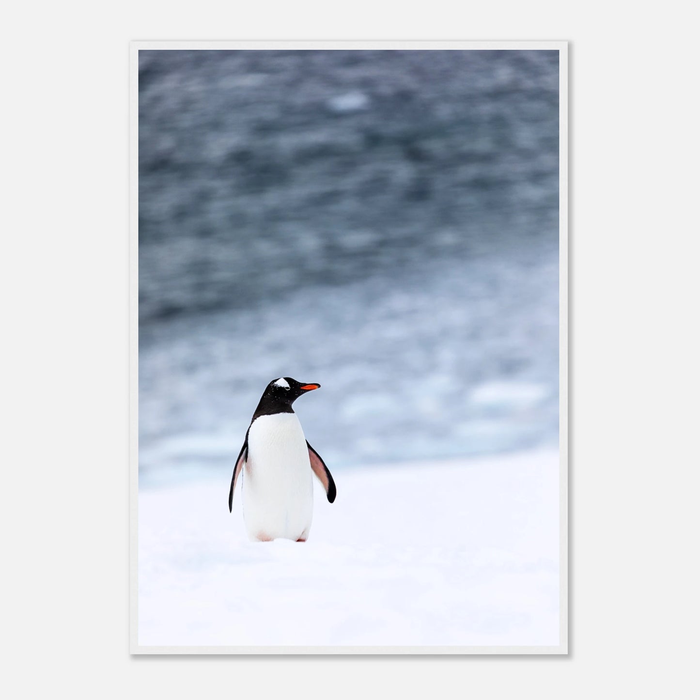 9992cacd-a903-4c93-a22f-612ff2f0a0d2