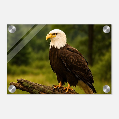 9d5fdfb1-2d14-4933-8fee-0e4df14df6d4