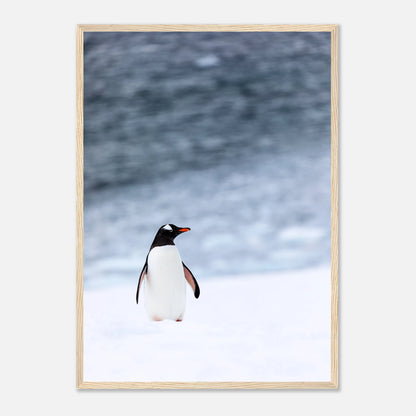 Pinguin Poster „Antarctic Stroll“ mit hellem Holzrahmen – elegante Wanddekoration fürs Wohnzimmer