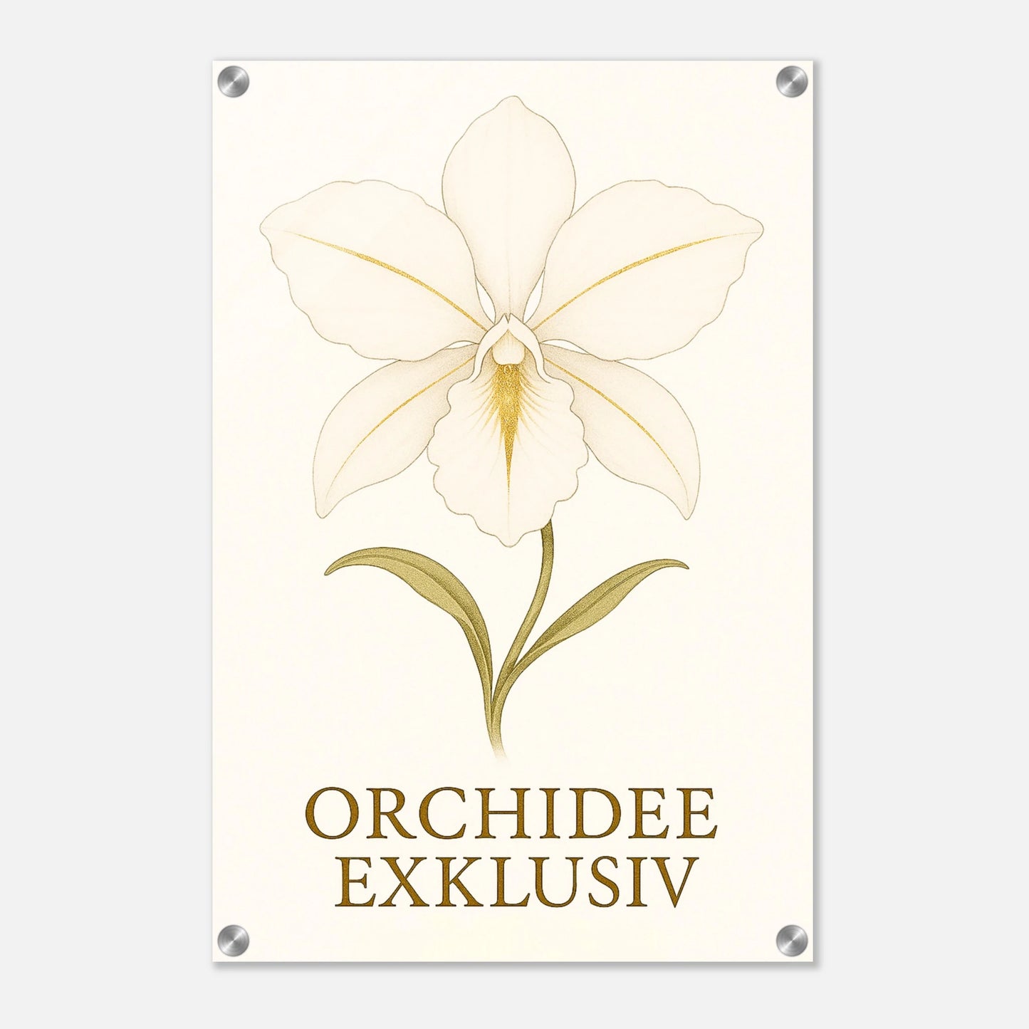 a060f227-aacf-4a5b-bd97-ad2b05ff20e9