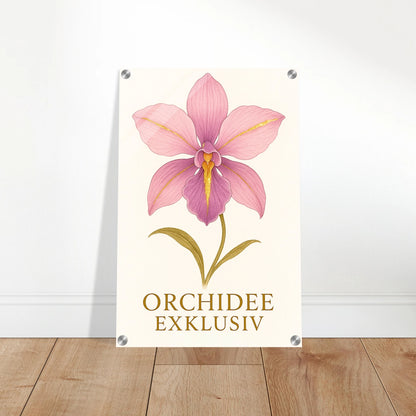 a06d1230-23d9-4959-98b9-9672bbf74bc9