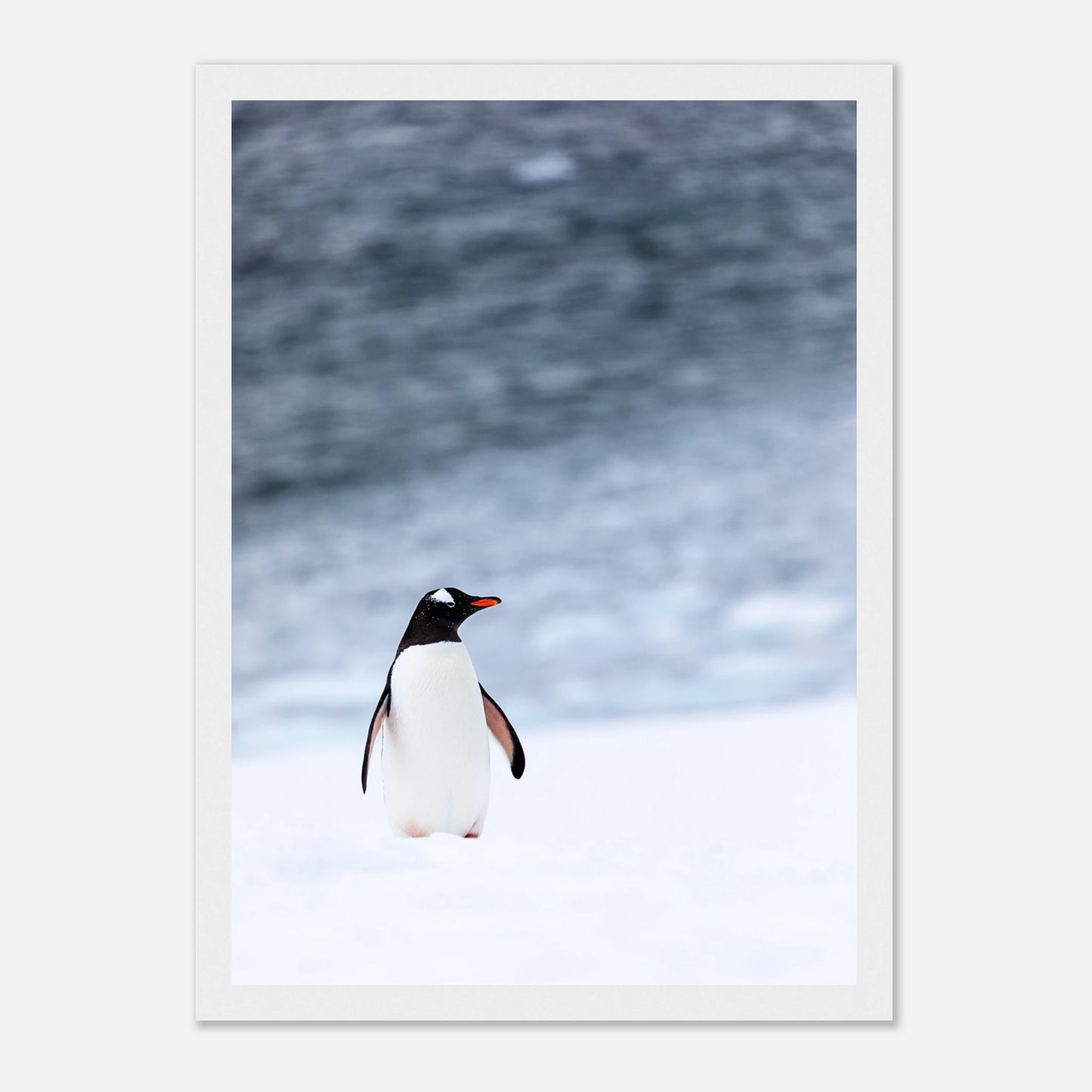 a2520f14-d7ce-4ff9-a0f2-4717b0d4d18e