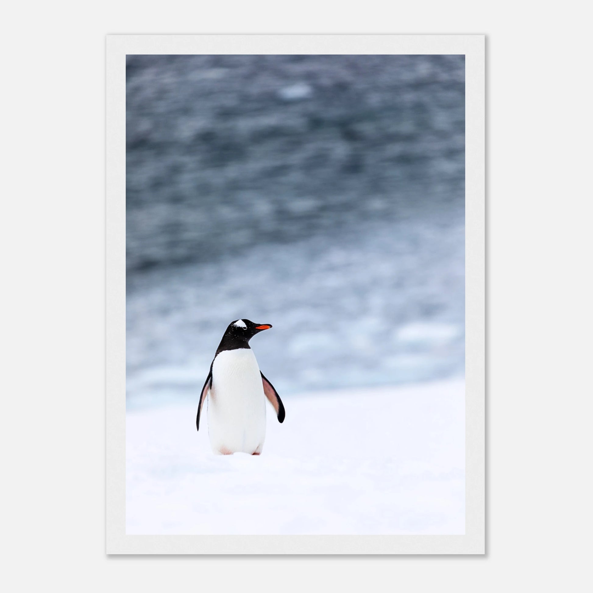 a2520f14-d7ce-4ff9-a0f2-4717b0d4d18e